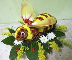 Пчела-медонос